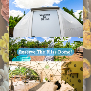 Bliss Dome