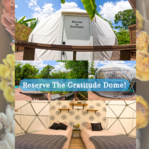 Gratitude Dome