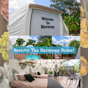 Harmony Dome