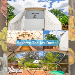 Joy Dome