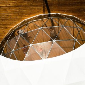 PHOTO-2025-06-05-12-13-55 2