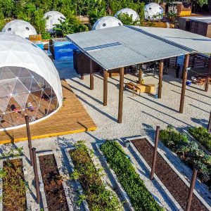 PHOTO-2025-06-05-12-13-55-4